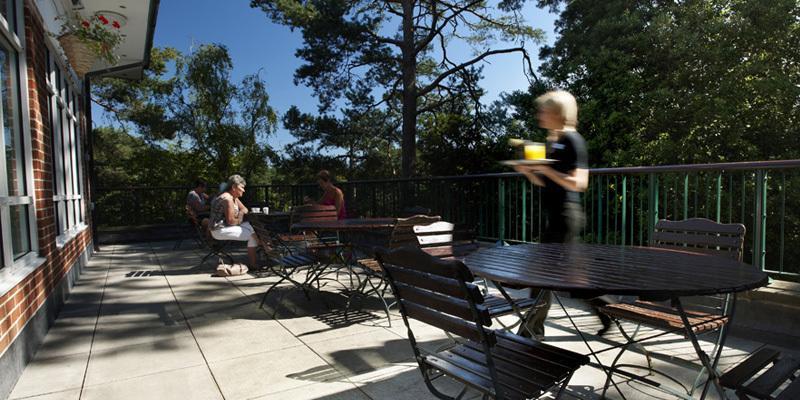 The Lodge At Meyrick Park Bornemouth Extérieur photo